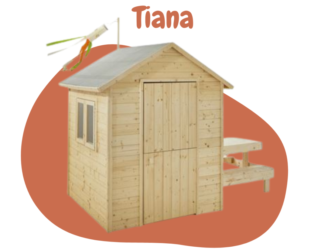 Wordpress soulet (5)